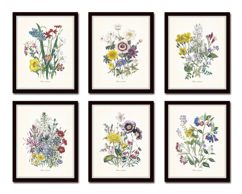 Fleurs de Jardin Botanical Print Set No. 15