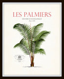 Vintage French Palm Tree Collage No. 36 - Botanical Print