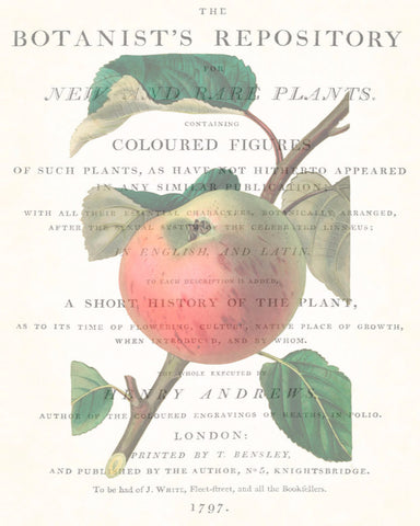 Vintage Botanical Apple Collage No. 2