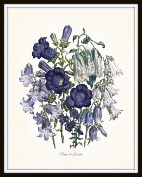 BOTANICAL ART 【import品】 Amazon.com: 97 Decor Vintage Botanical Wall Art - Vintage