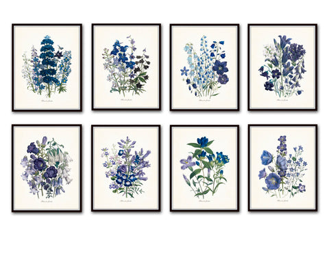 Fleurs de Jardin Print Set No. 8 - Botanical Print Set