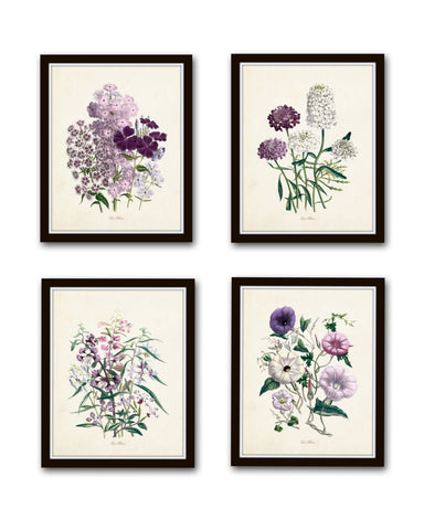 Les Fleurs Print Set No. 8 - Botanical Prints Set