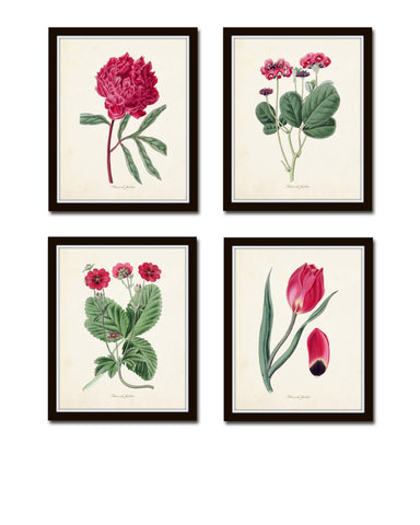 Fleurs de Jardin Print Set No. 20