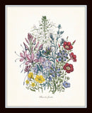 Fleurs de Jardin Botanical Print Set No. 16