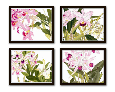 Tropical Woodblock Orchids Botanical Print Set No. 20