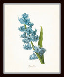 Blue Redoute Floral Botanical Print Set No. 3