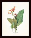 Tropical Botanical Print Set No. 7