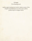 Antique French Oranges Print Set No. 2