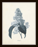 Blue Gray Flowers Botanical Print Set No.1