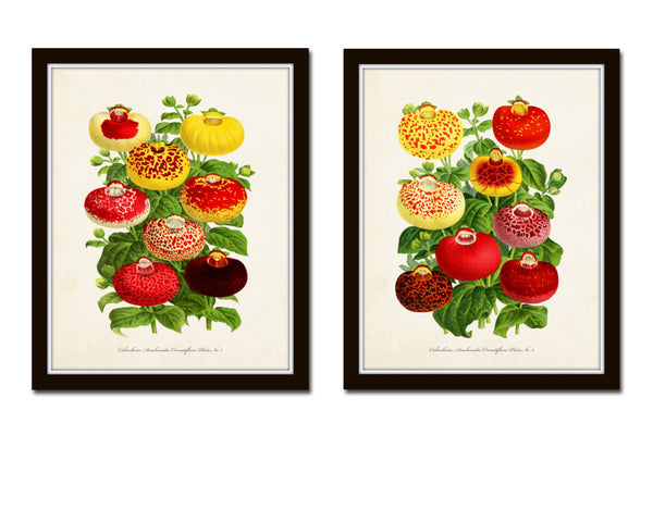 Floral Bouquet Botanical Print Set No. 1