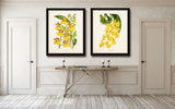 Yellow Orchid Print Set No. 2