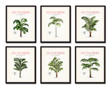 Vintage French Palm Tree Print Set No. 12