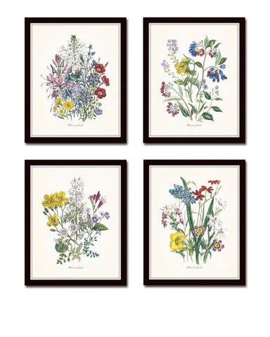 Fleurs de Jardin Botanical Print Set No. 16