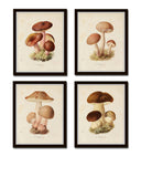Mushroom Vegetable Art Print Set No. 2