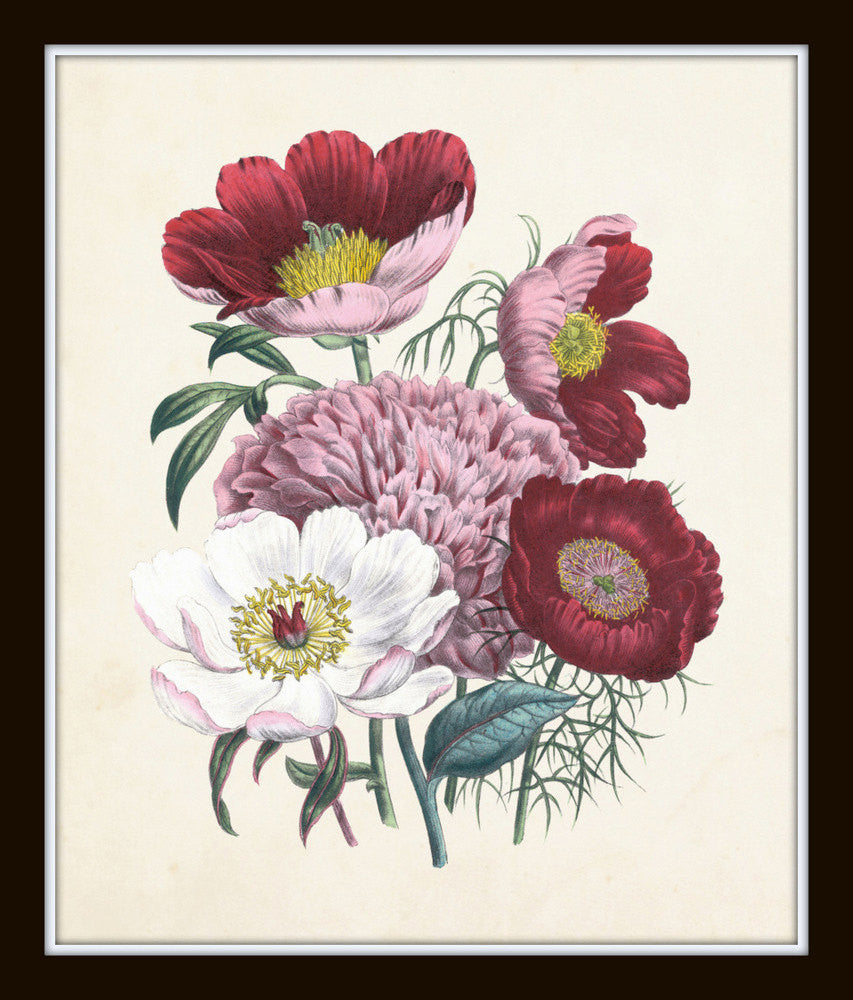 Botanical Floral Print Set No. 32 BelleBotanica