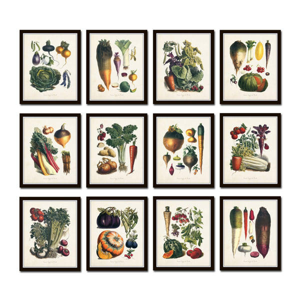 French Vegetable Print Set No. 12