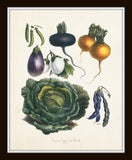 French Vegetable Print Set No. 12