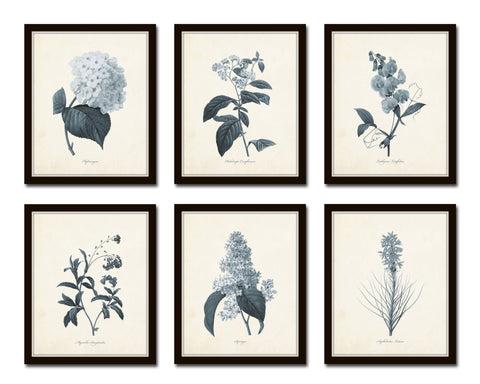Blue Gray Flowers Botanical Print Set No.1