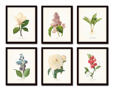 Botanical Garden Floral Print Set No. 17