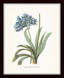 Blue Botanical Print Set No. 7 - Fine Art Giclee Prints