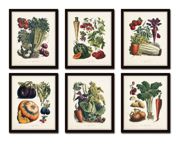 French Vegetable Print Set No. 5