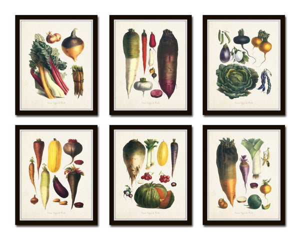 French Vegetable Print Set No. 6