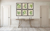 Palm Fronds Print Set No. 2