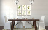 Watercolor Herbs Print Set 2 - Botanical Print Set