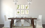 Watercolor Herbs Print Set 2 - Botanical Print Set