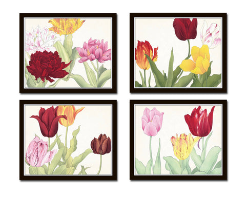 Tulips Floral Print Set No. 3