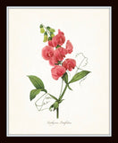 Botanical Garden Floral Print Set No. 17