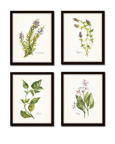 Watercolor Herbs Print Set No. 6