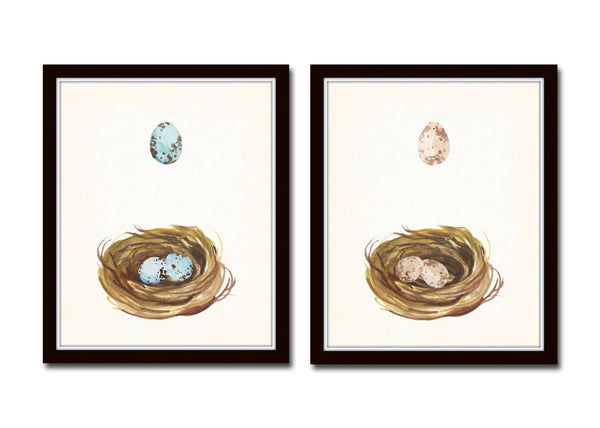 Watercolor Nest and Egg Print Set - Fine Art Giclee Prints