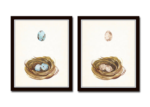 Watercolor Nest and Egg Print Set - Fine Art Giclee Prints
