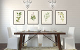 Watercolor Herbs Print Set No. 6