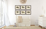 Vintage Bird Nests Print Set No. 1