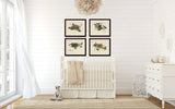 Vintage Bird Nests Print Set No. 2