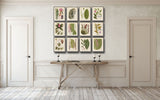 Botanical Print Set No. 15 - Giclee Art Prints