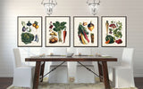 French Vegetable Print Set No. 4