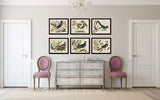 Vintage Bird and Botanical Horizontal Print Set No. 6