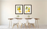 Antique French Oranges Print Set No. 2