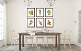 Antique Redoute Fruit Prints Set No 2