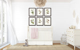 Audubon Bird Prints Set No. 1 - Vintage Bird Prints