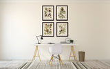 Vintage Bird and Botanical Print Set No.1