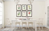 English Garden Botanical Print Set No. 5