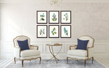 Blue Redoute Botanical Floral Print Set No. 2