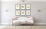 Hummingbird Print Set 1 - Bird Print Set