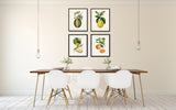 French Fruit Botanical Print Set No. 12