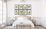 Vintage Fern Print Set No. 34 - Fine Art Giclee Prints