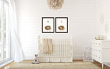 Watercolor Nest and Egg Print Set - Fine Art Giclee Prints